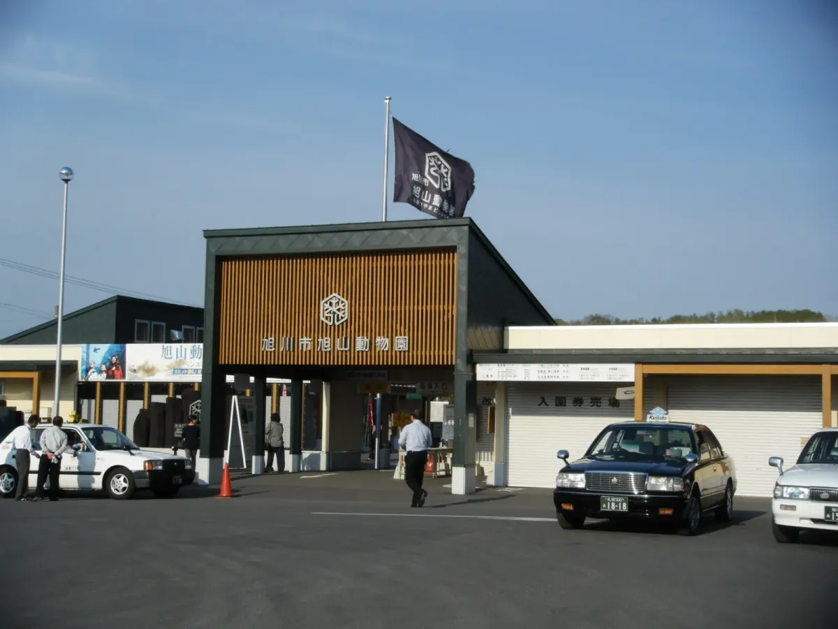 旭山動物園企鵝指南：冬季企鵝散步與國王企鵝，日本旭川，可見 4 種企鵝