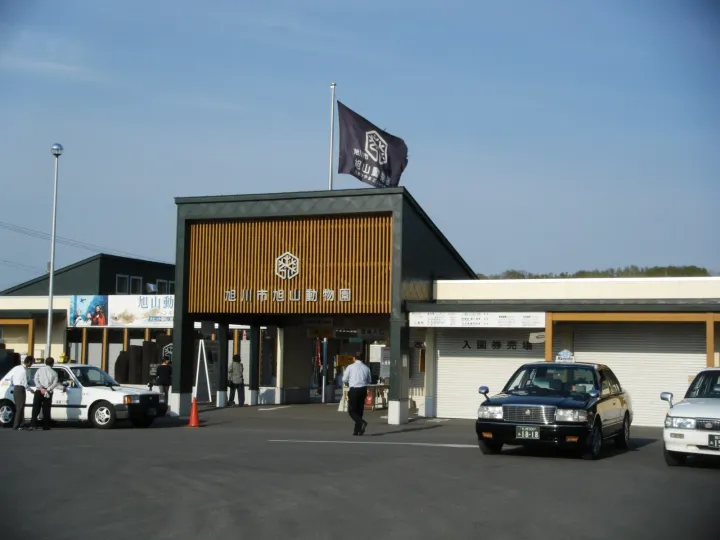 旭山動物園企鵝指南：冬季企鵝散步與國王企鵝，日本旭川，可見 4 種企鵝