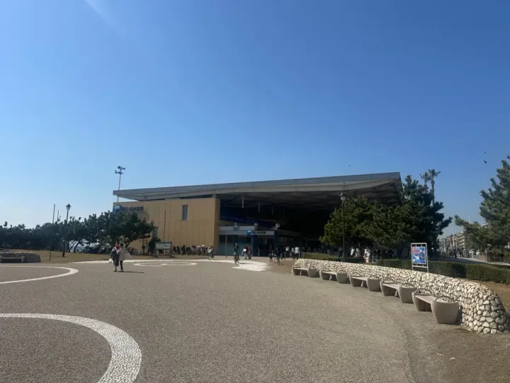 新江之島水族館企鵝指南：海邊看漢波德與非洲企鵝，日本藤沢，可見 2 種企鵝