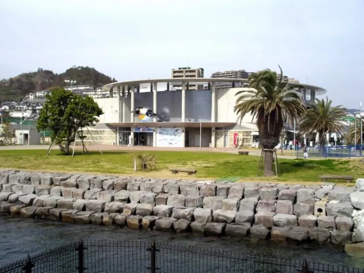 長崎企鵝水族館指南：日本 9 種企鵝專門館怎麼看，日本長崎，可見 9 種企鵝
