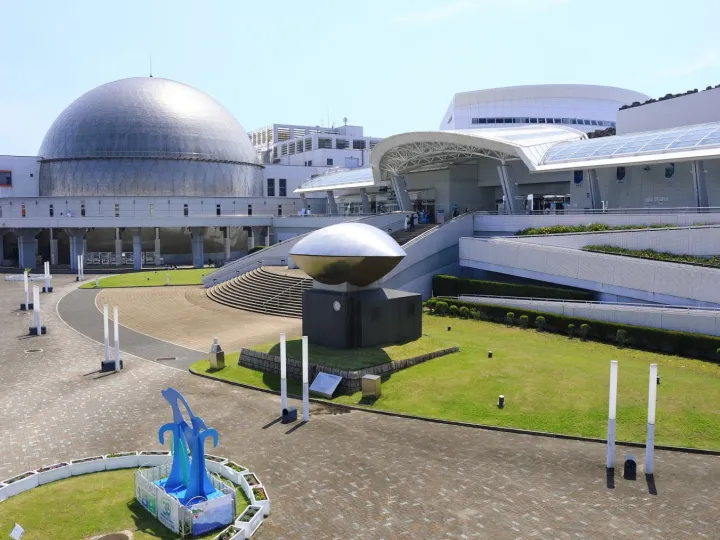 名古屋港水族館企鵝指南：皇帝、阿德利與巴布亞企鵝，日本名古屋，可見 4 種企鵝