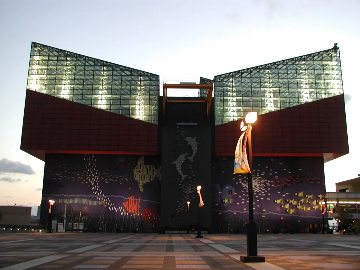 大阪海遊館企鵝指南：大阪港邊看國王企鵝與大館動線，日本大阪，可見 2 種企鵝