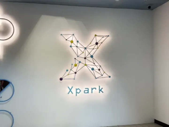 Xpark 企鵝指南：桃園青埔看漢波德、麥哲倫與國王企鵝，臺灣桃園，可見 3 種企鵝