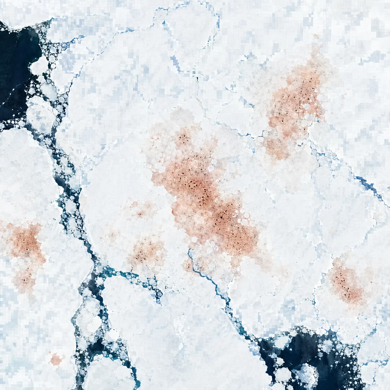 企鵝糞衛星監測:Sentinel-2 衛星影像上的糞便色斑,對比周圍白色海冰清晰可辨。(圖片來源:ESA / BAS)